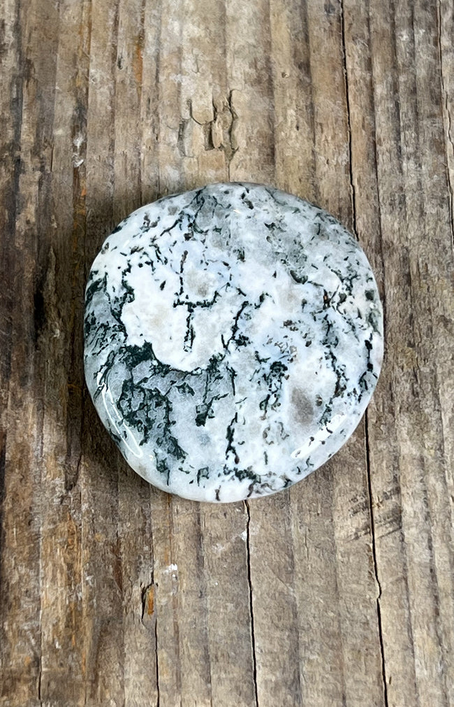 Tree Agate Tumblestones