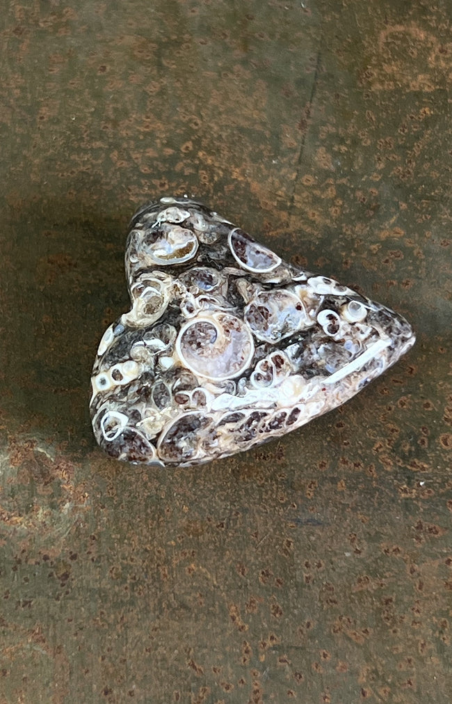 Turitella Agate Java Tumblestones- Indonesia