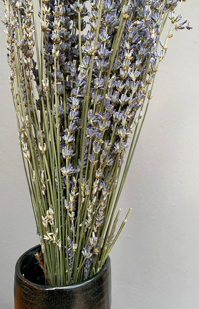 Lavender Bunch - Blue