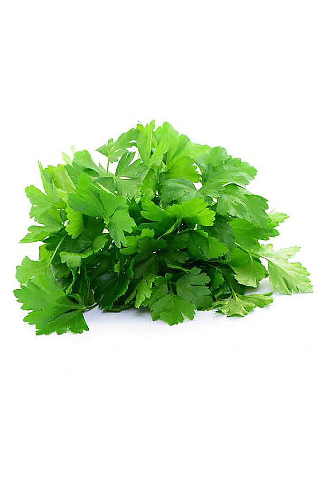 Parsley Gigante D'Italia