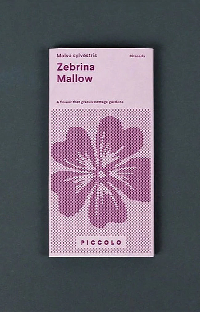 Mallow Zebrina