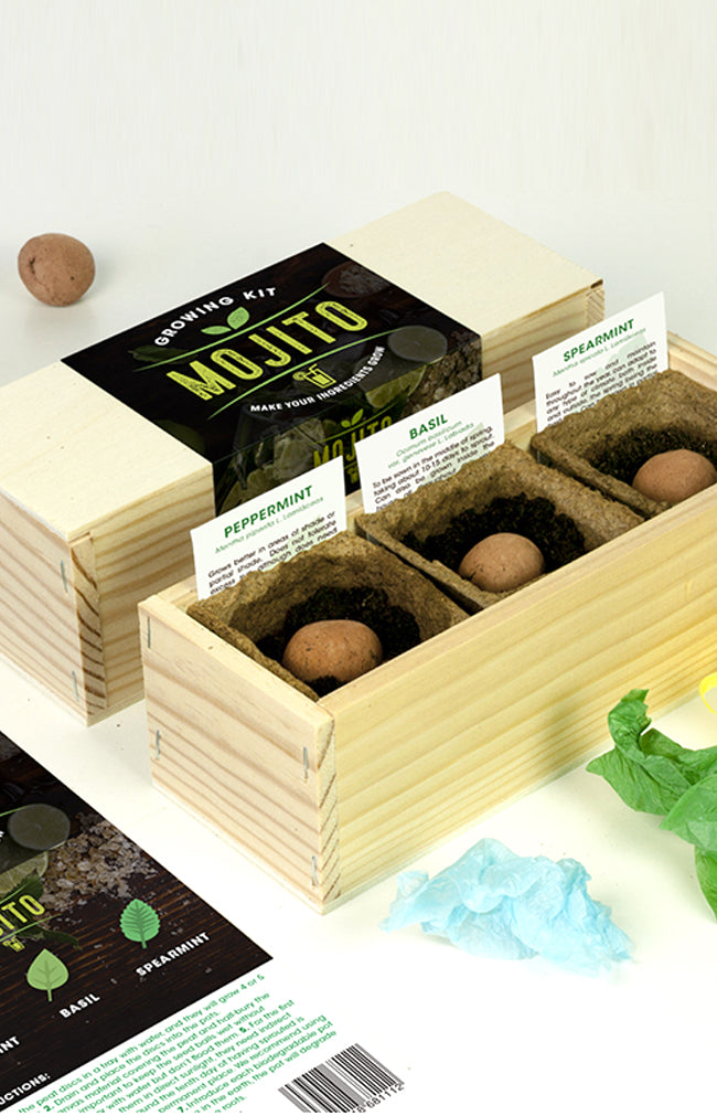 Mojito Kit (mint)