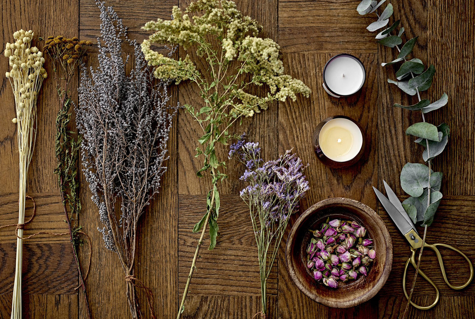 Plants & Flowers