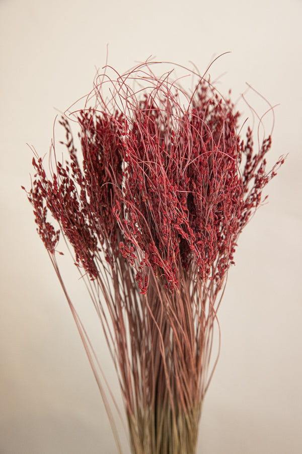 Sai Thong Slv Bunch