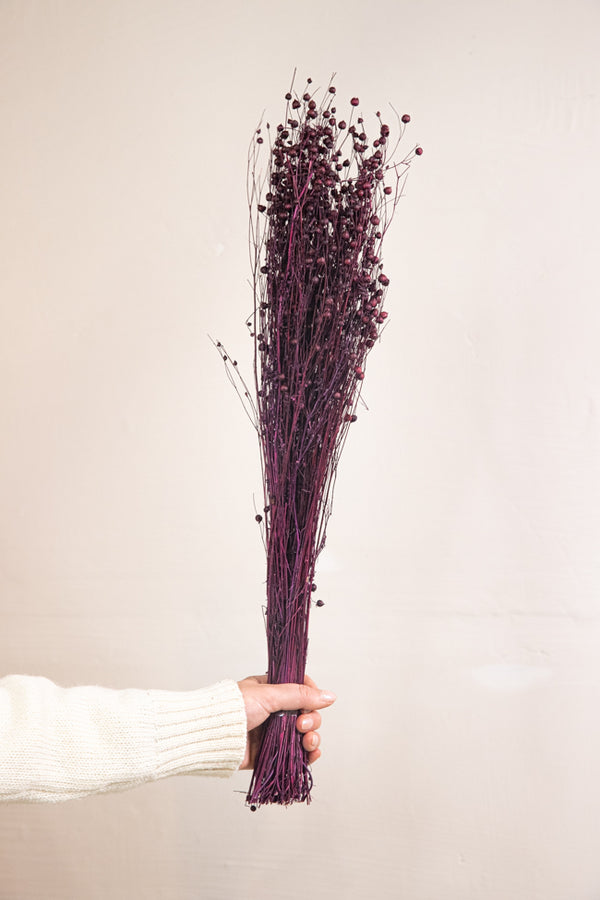 Flax Grass Bunch Plum