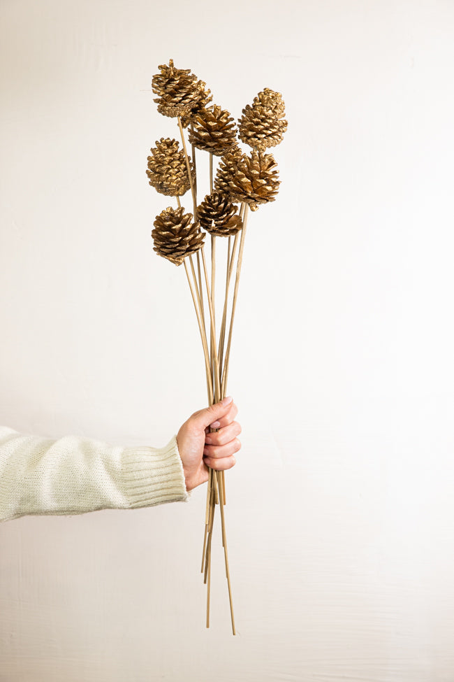 Stem Pinecone 10pc Gold
