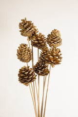 Stem Pinecone 10pc Gold