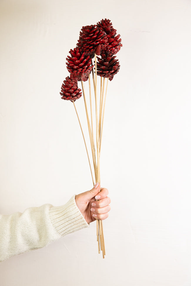 Stem Pinecone 10pc Berry