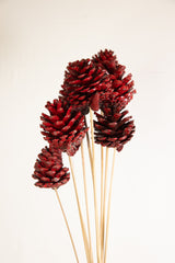 Stem Pinecone 10pc Berry