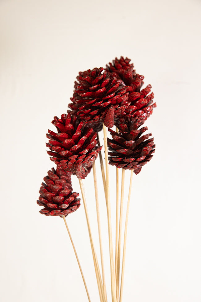 Stem Pinecone 10pc Berry