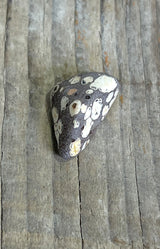 Leopard Jasper Mexico Tumbled Stone