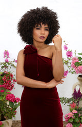 Fleur Velvet Gown - Burgundy