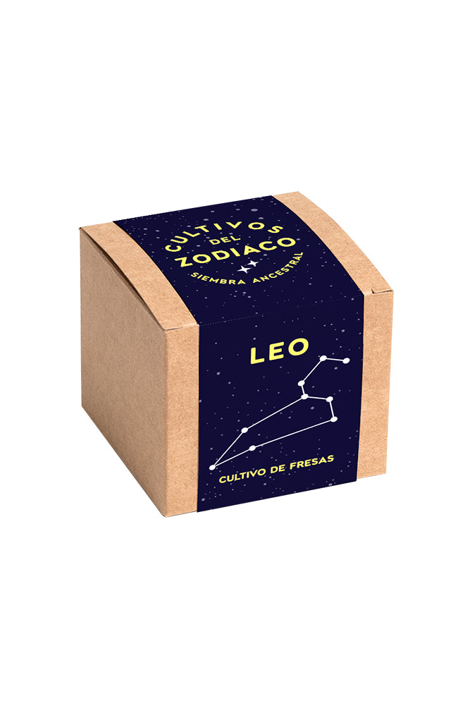Leo - Strawberry Growing Kit