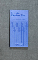 Lavender Munstead Blue