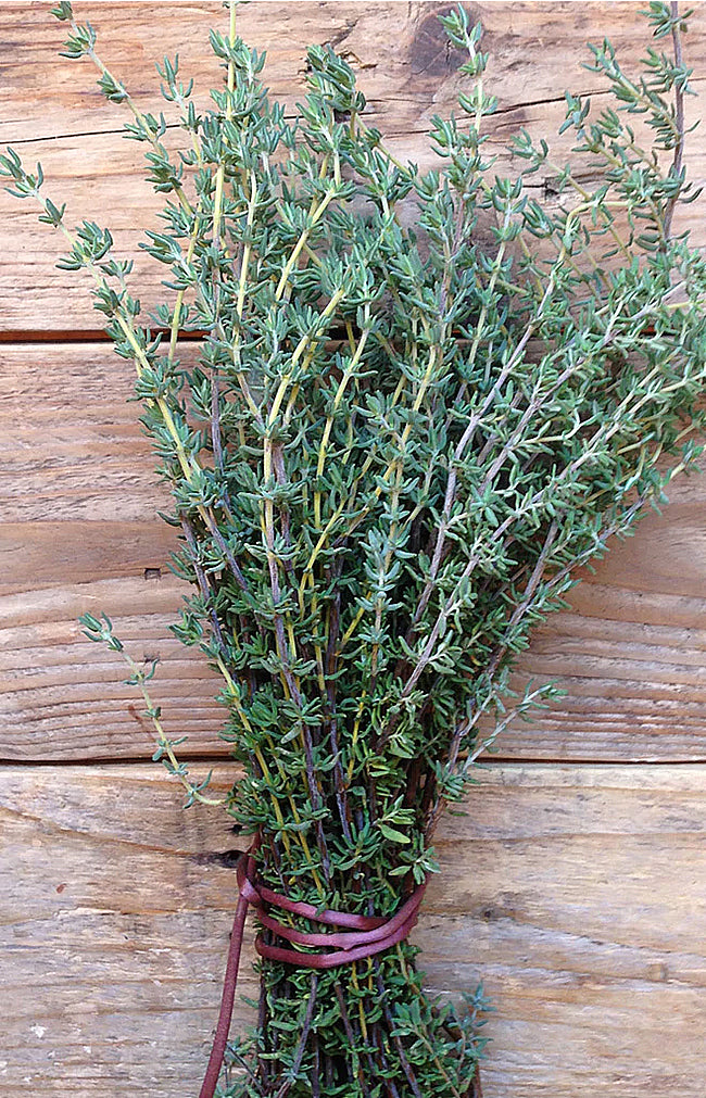 Thyme De Provence