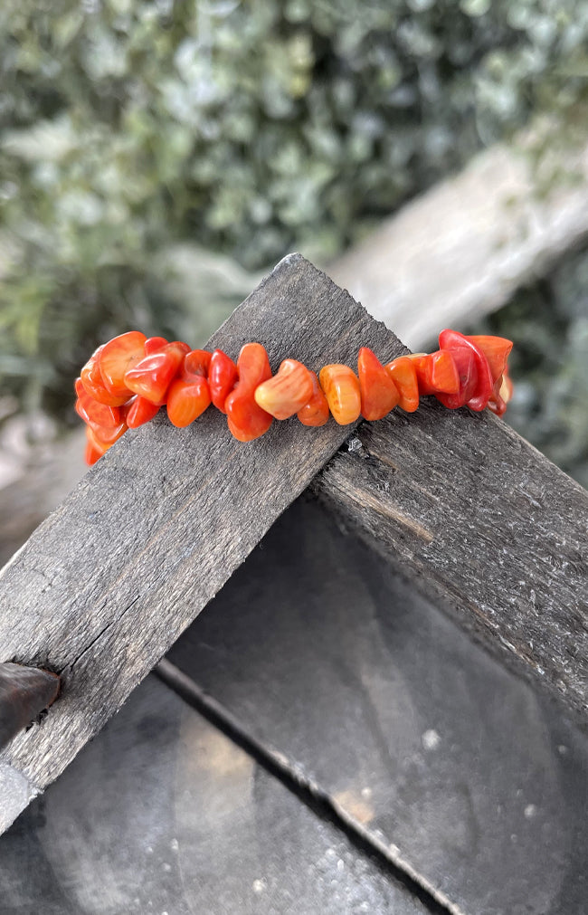 Coralite Chipstone Bracelet