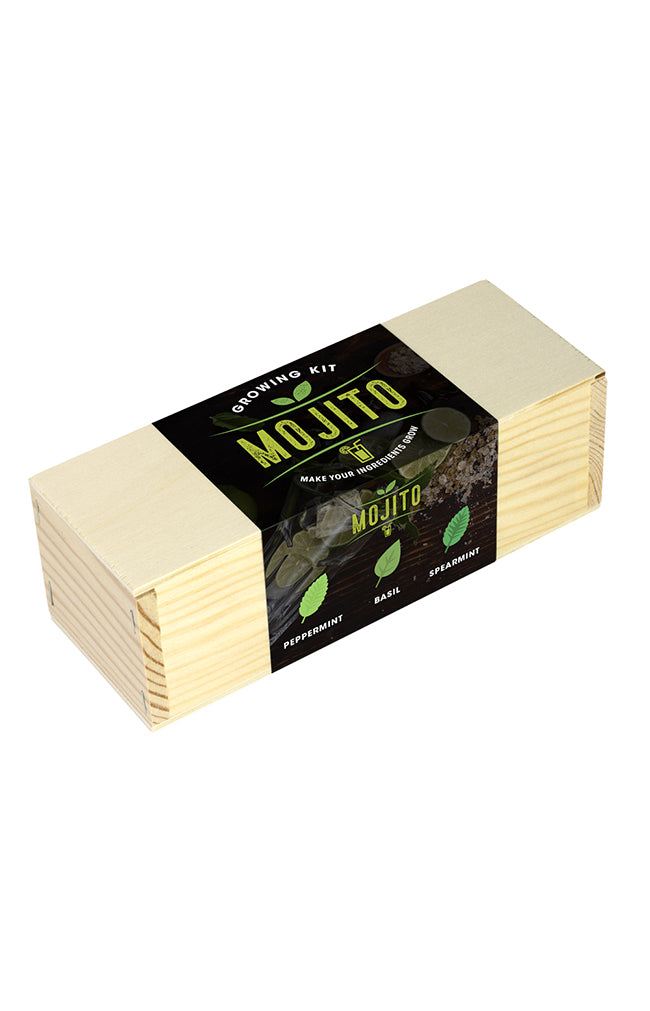 Mojito Kit (mint)