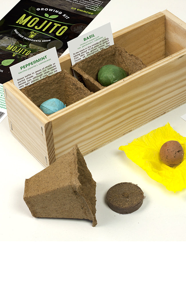 Mojito Kit (mint)