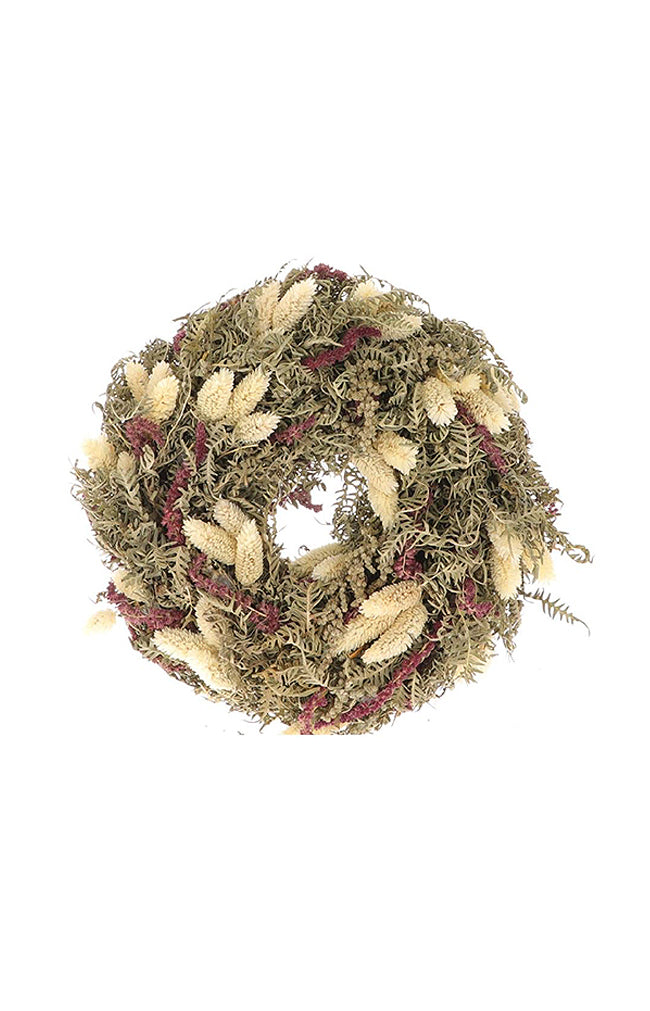 Joyfull Phalaris Wreath D25.0