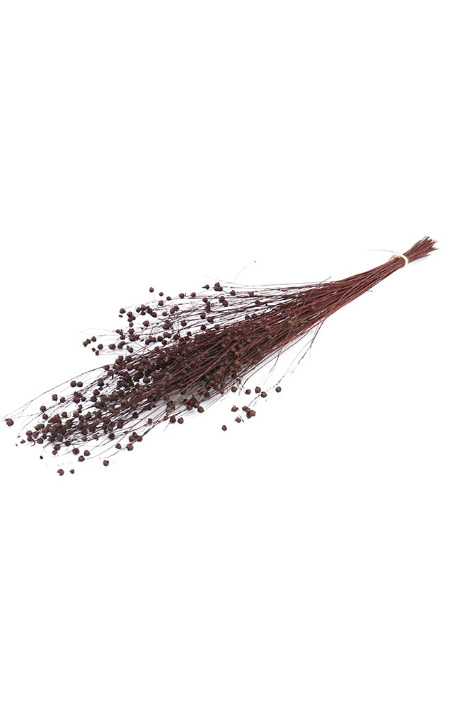 Flax Grass Bunch Plum